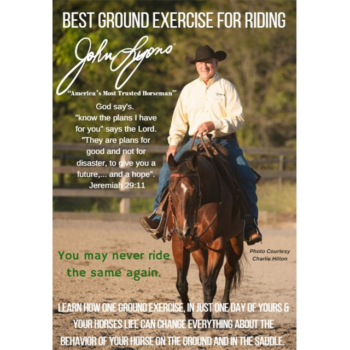 Best Ground Exercise for Riding