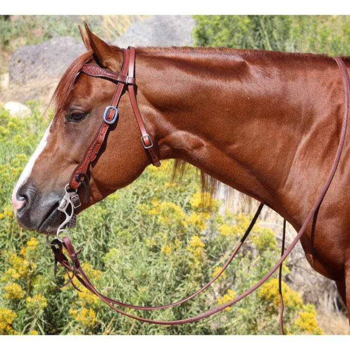 Basket Weave Leather Headstall (Headstall only) - Image 2