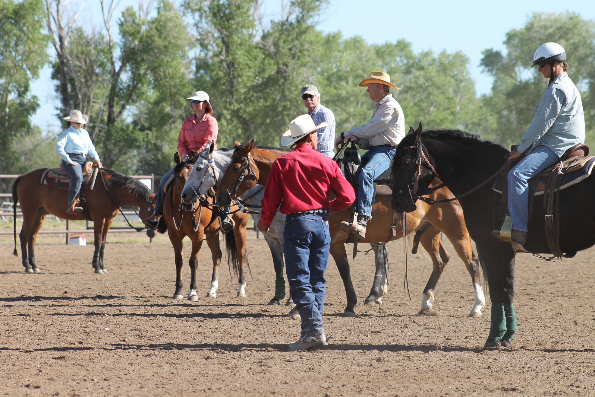 horse training trade school