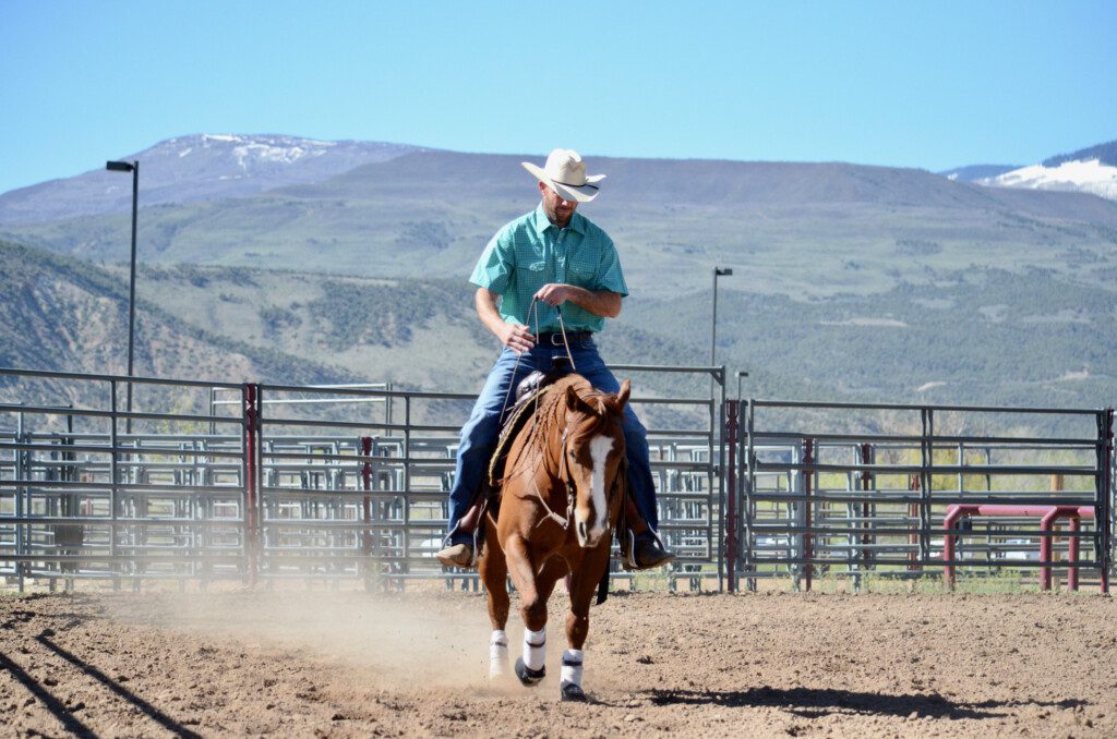 horse training trade school