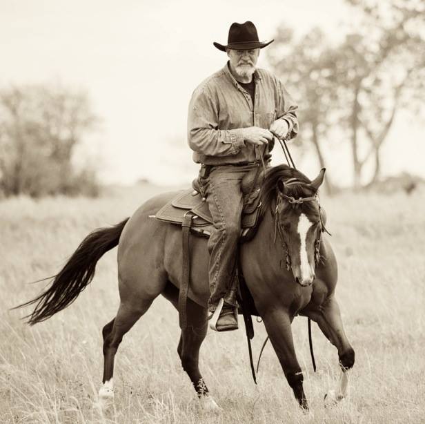 horse training trade school