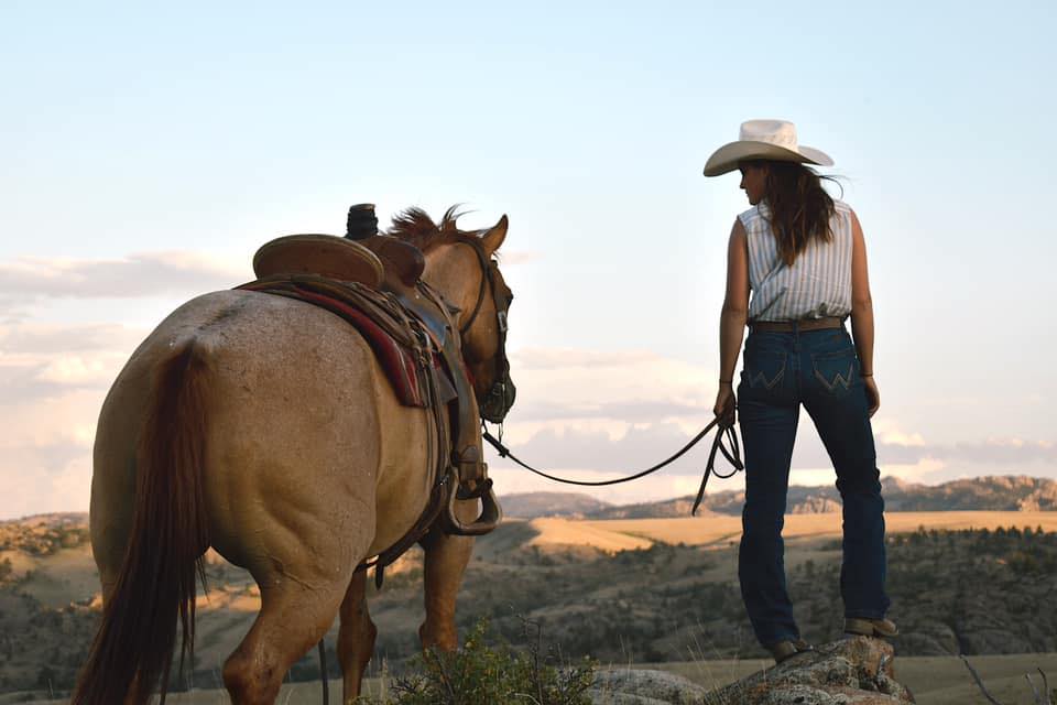 horse training trade school