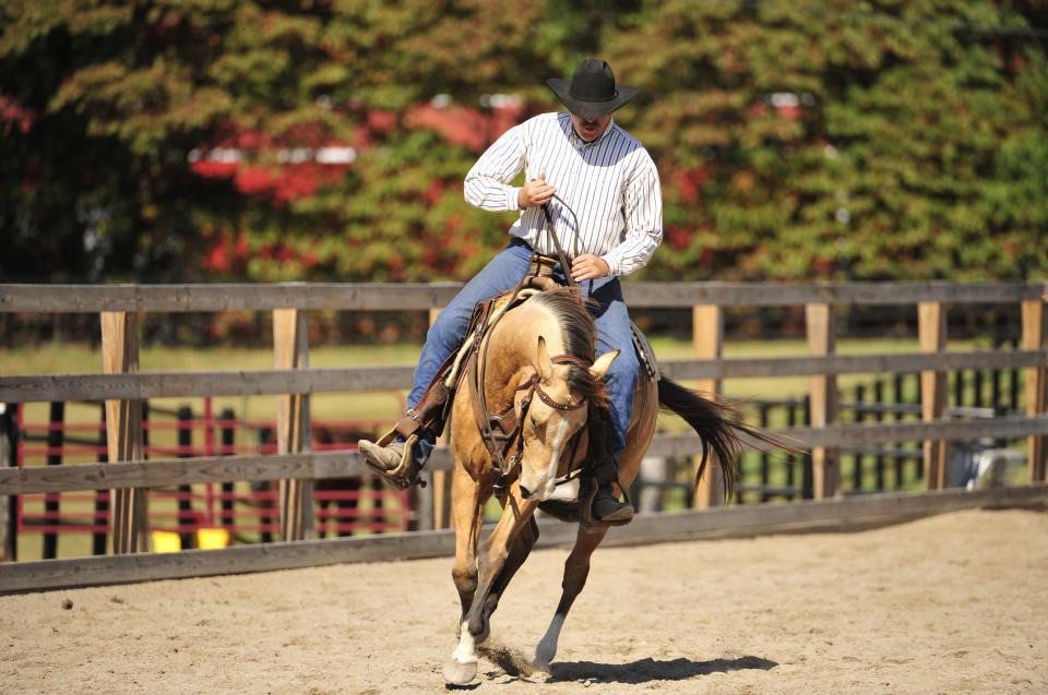 horse training trade school