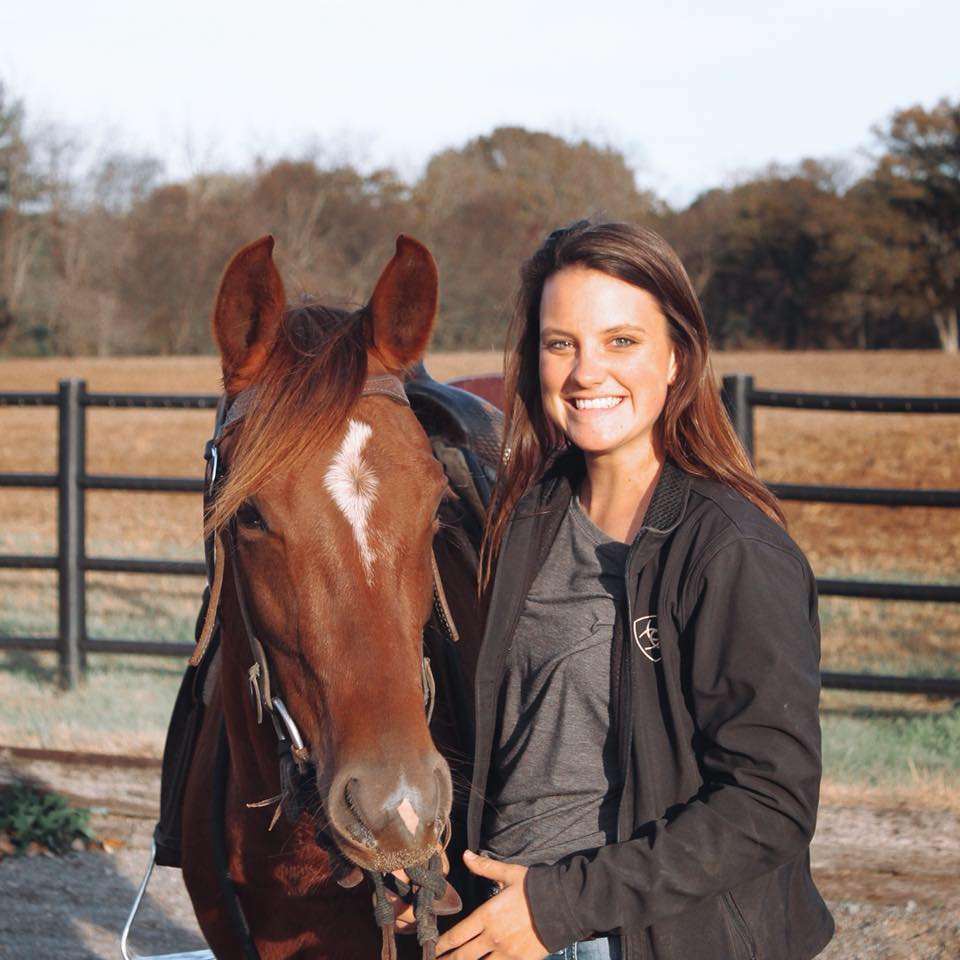 horse training trade school