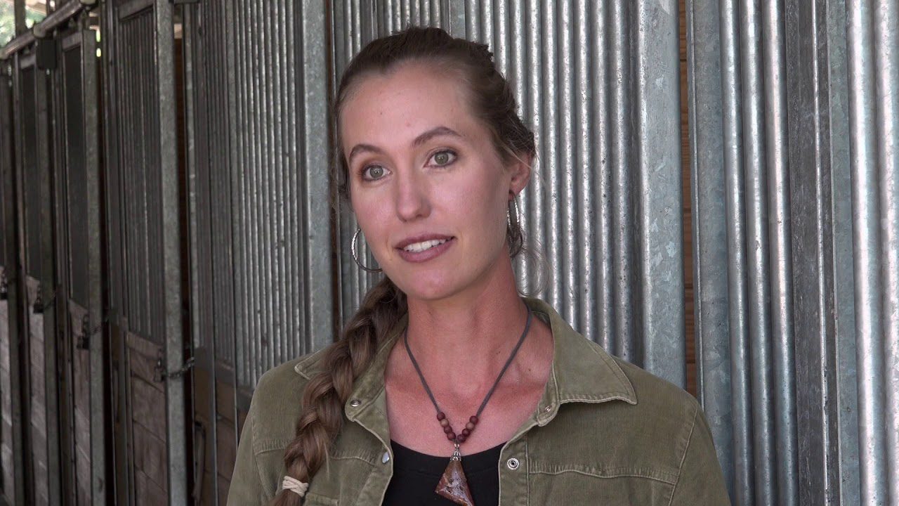 John & Josh Lyons Accredited Horse Training Program Testimonial -Rachel Piell