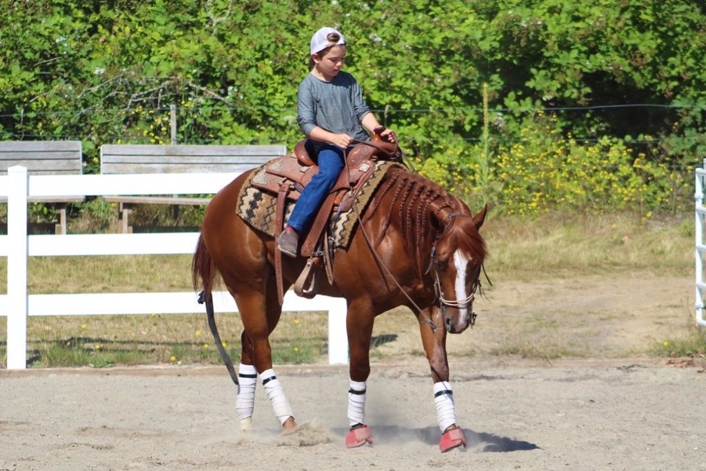 horse training school L1-Horse Training Program