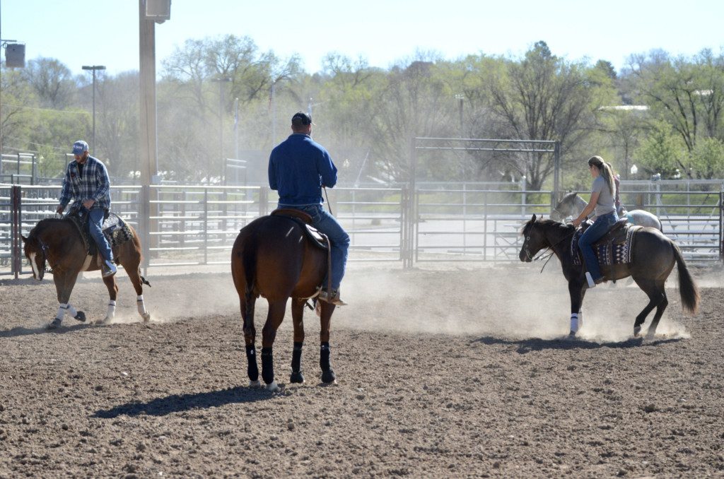 horse training school L1-Horse Training Program