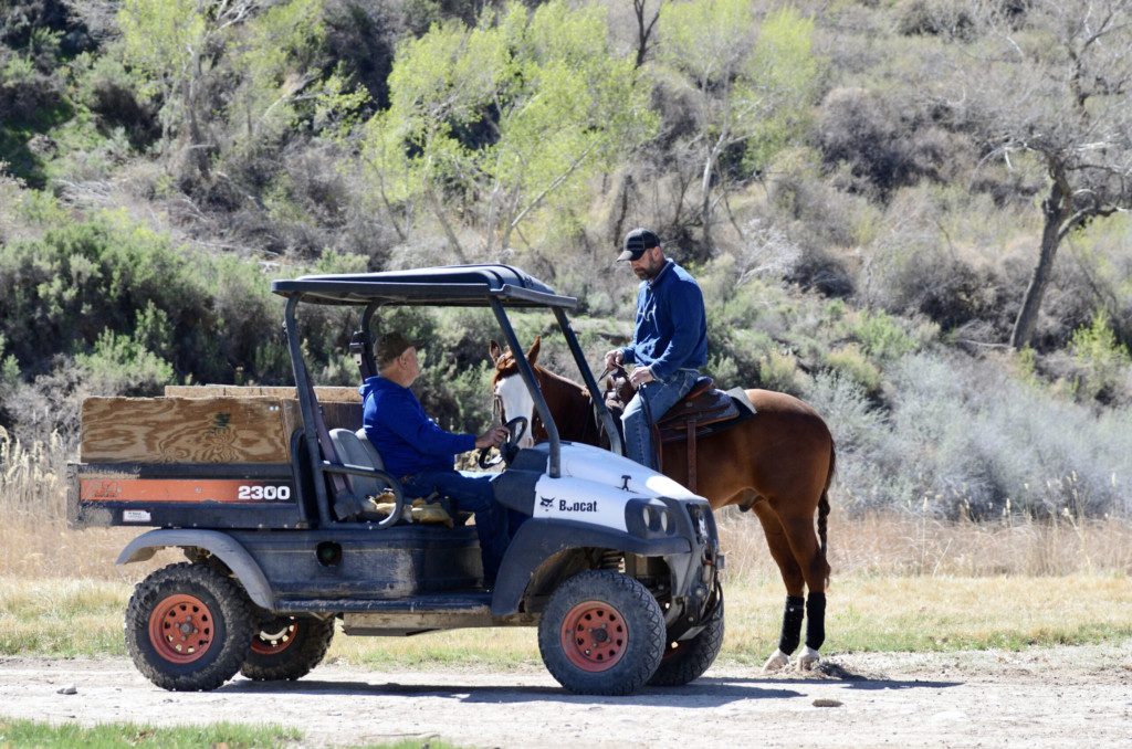 horse training school L1-Horse Training Program