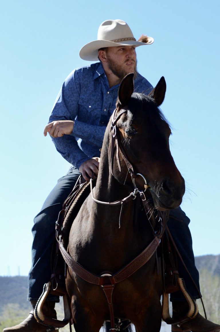 Admissions horse trade school