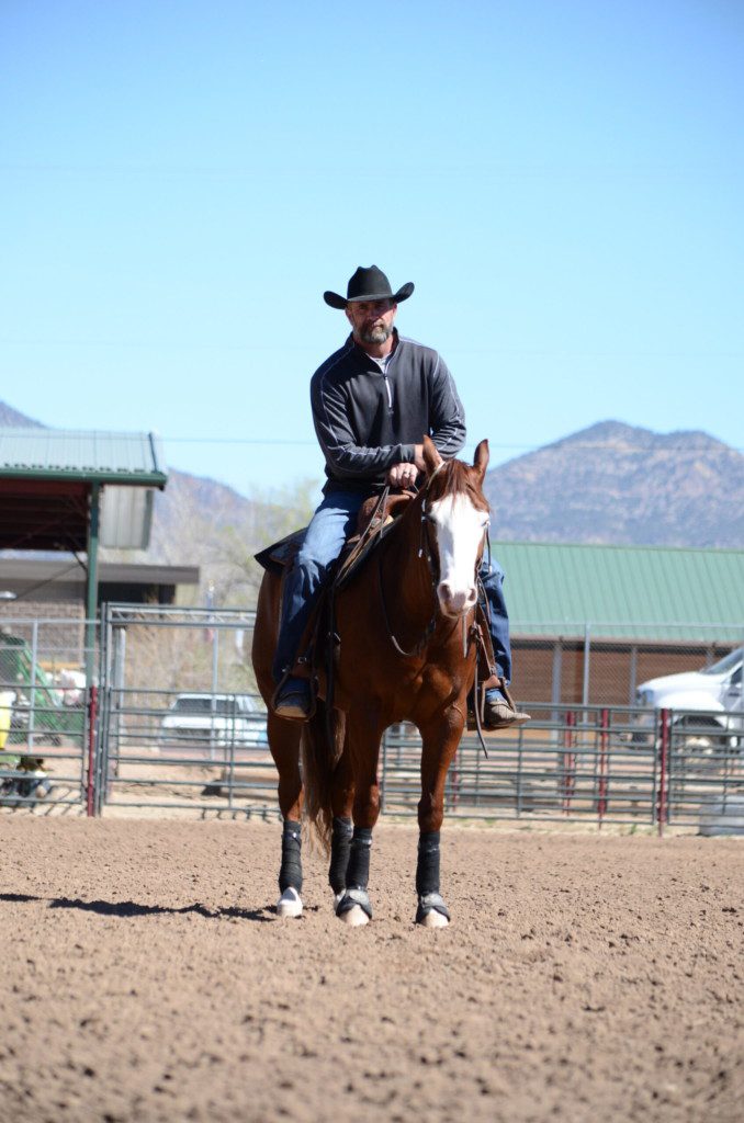 horse training school clinics