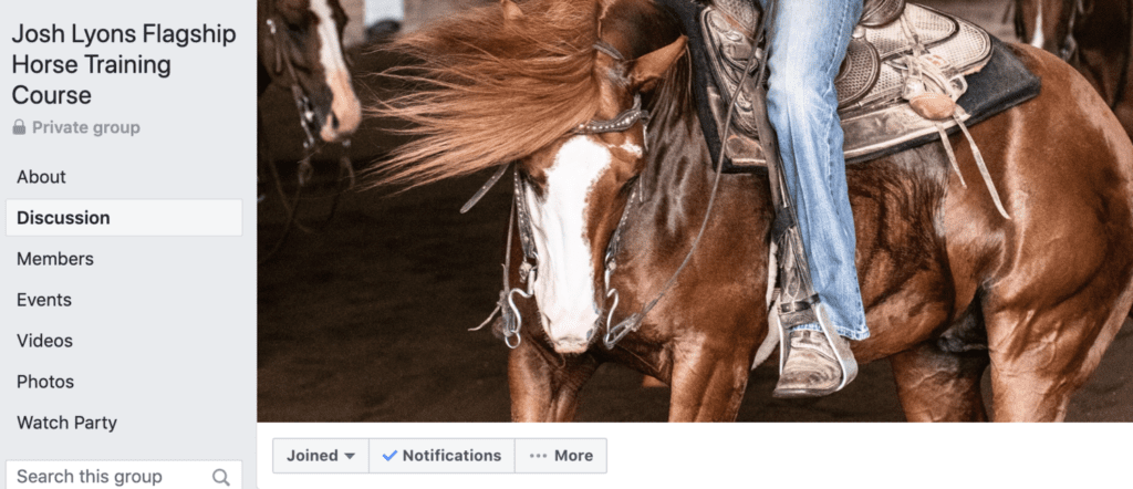 horse training certification programs