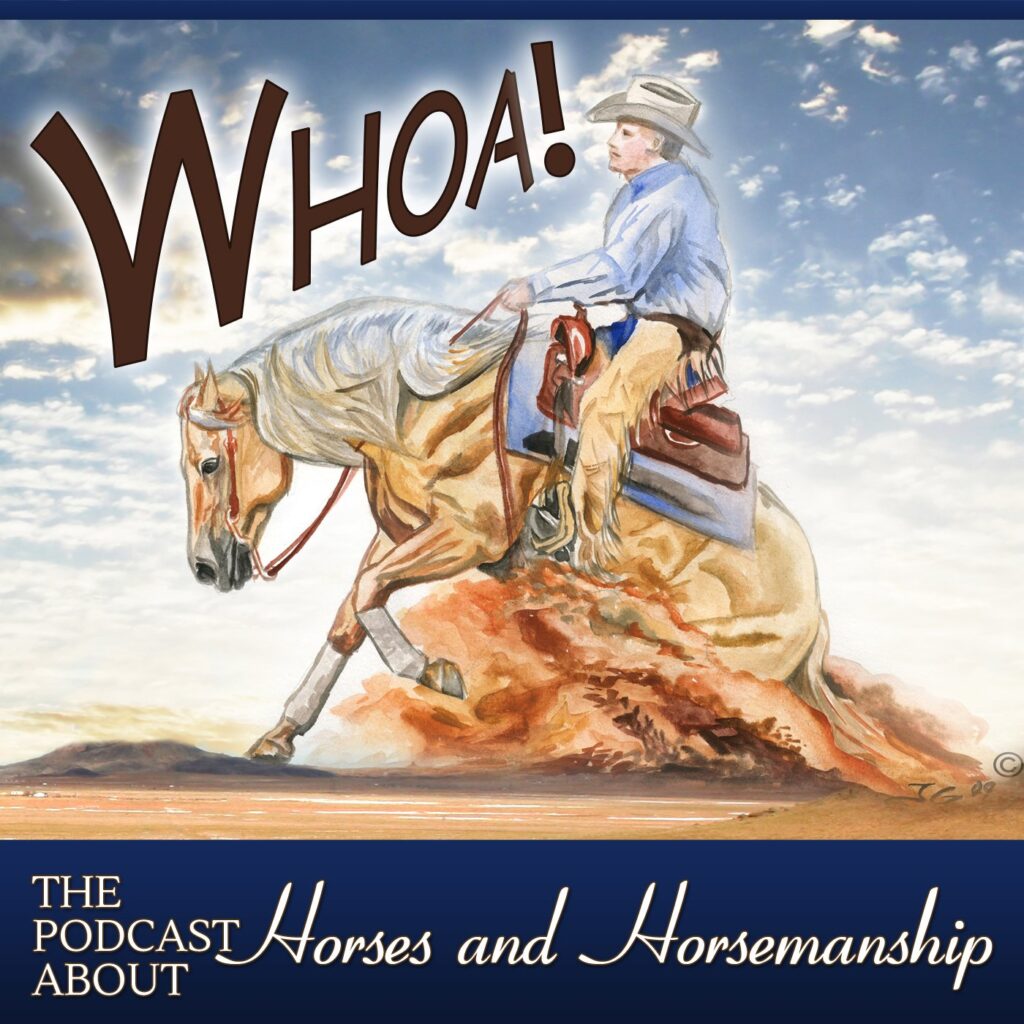 The Whoa Podcast Interviews Josh