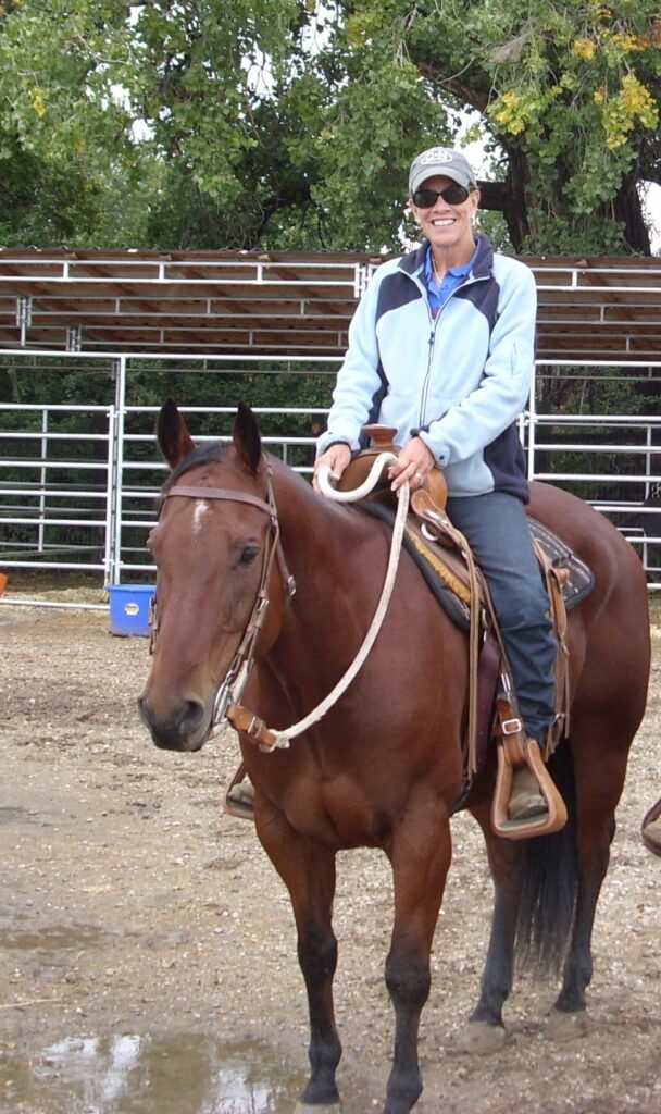 horse training trade school