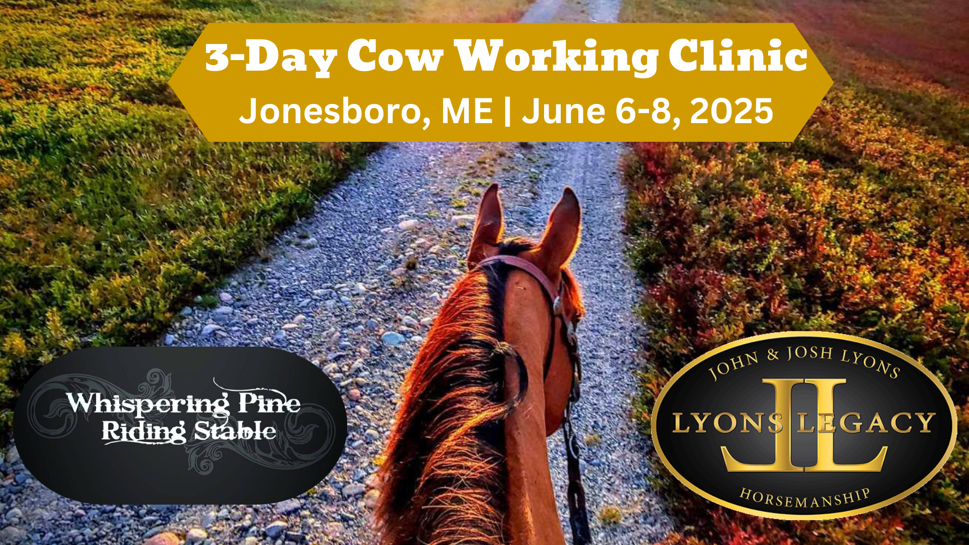 Jonesboro ME clinic horse training