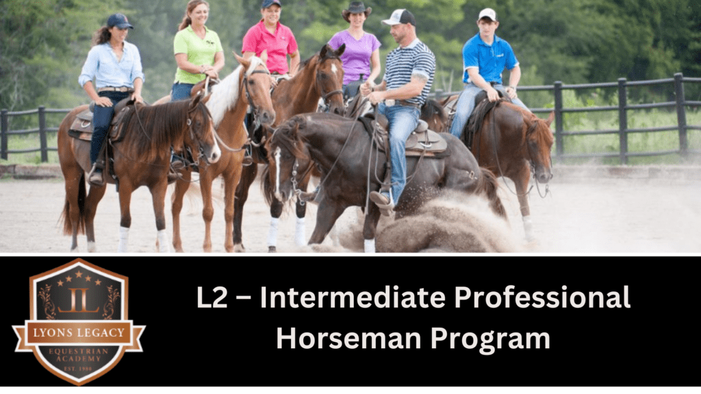 Horse Training Events