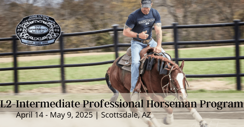 Scottsdale AZ L2 Program Horse Training School